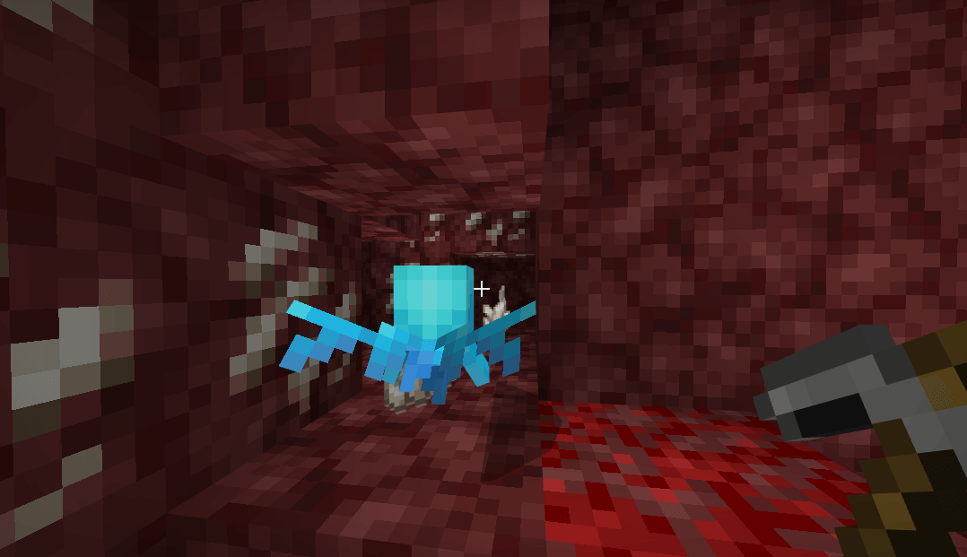 Allay in nether
